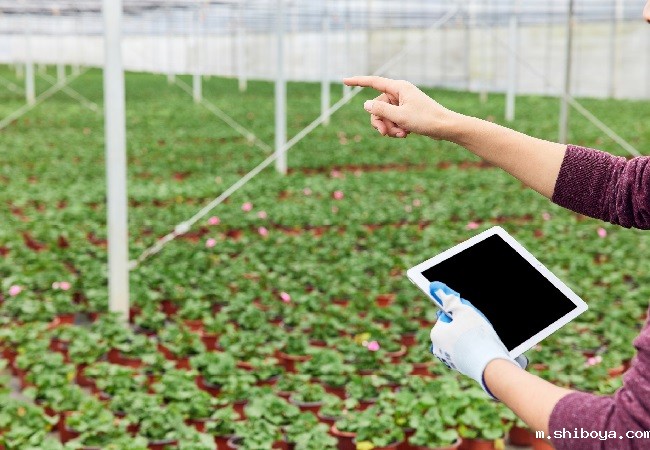 摄图网_507705132_banner_农民查看平板电脑特写(企业商用) - 副本.jpg