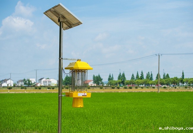 太阳能杀虫灯应用于高标准农田