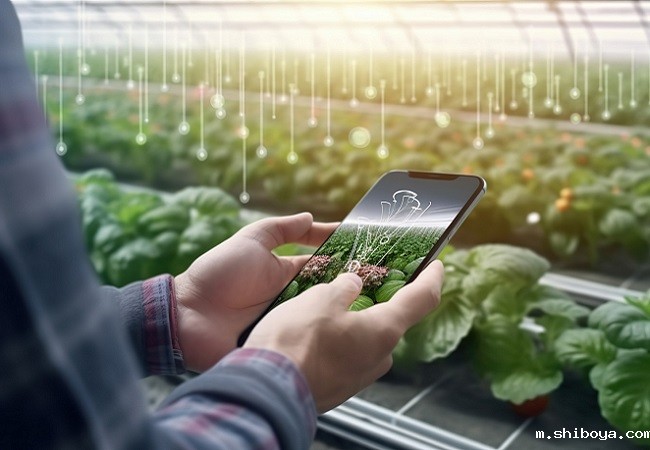 林西农民“玩转”智慧农业