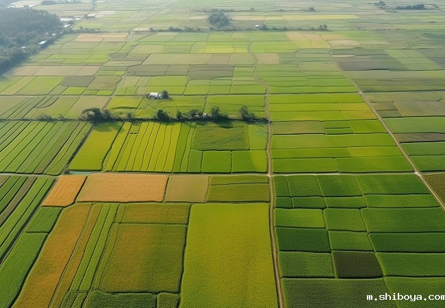智慧农业管理系统，助力衡水农业现代化