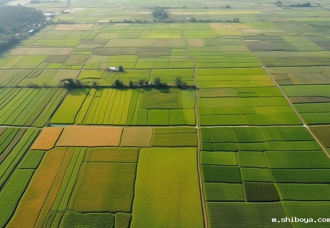 【政策解读】2023年智慧农业应该这么干（中央一号文件）