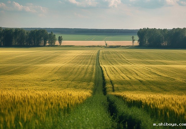 大田绿色防控管理系统