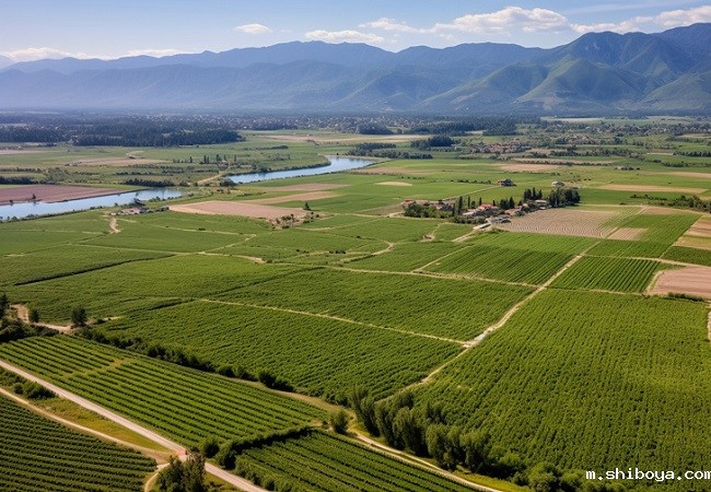 土壤墒情监测系统应用于高标准农田