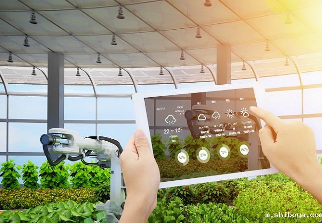 智能控制技术在智慧农业中的应用