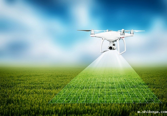 遥感技术让农业更“智慧”