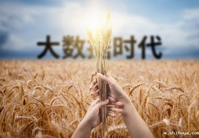 大数据广泛应用于智慧农业领域