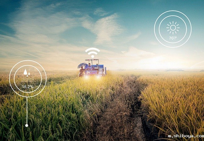 全息种植技术在智慧农业的应用