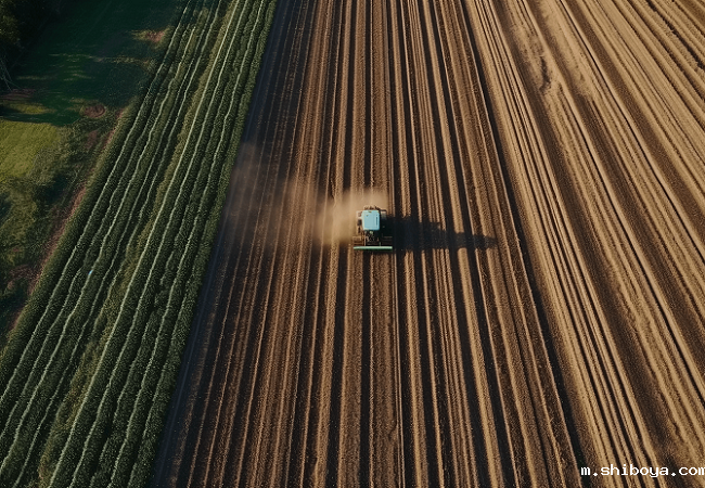 国家为什么提倡智慧农业