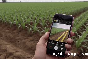 智能虫情测报灯自动杀虫识别！我市新增四处！