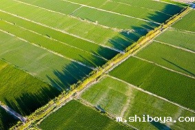 新疆阿克苏：应用太阳能杀虫灯防治农田虫害！