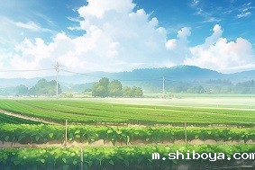 芳草湖农场应用太阳能杀虫灯防治虫害！