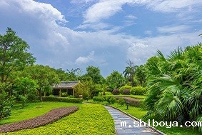 景观式太阳能杀虫灯，应用于嵊泗县基湖村！