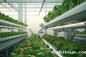 四川省理塘县：引入无土栽培技术，大力发展智慧农业