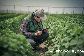 太阳能杀虫灯不亮原因