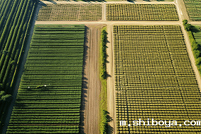 太阳能杀虫灯多少亩农田安装一台