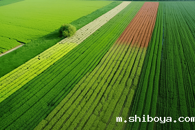 太阳能杀虫灯能有效杀死多大面积