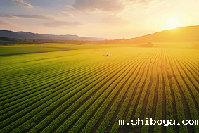 太阳能杀虫灯原理