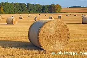 政策解读：国家积极推进农作物秸秆综合利用