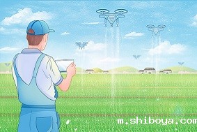 政策解读：《2023年数字乡村发展工作要点》