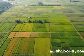 高标准农田建设，如何“破局”？