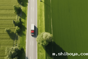 高标准农田的特征及主体构成！