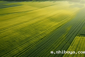 高标准农田建设的6个模式