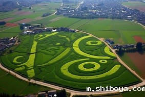 高标准农田建设方案设计