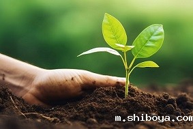 土壤墒情自动监测站介绍