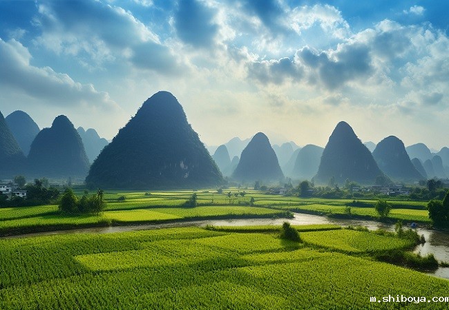 太阳能杀虫灯介绍