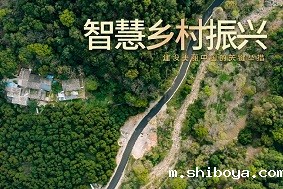 乡村振兴丨赋能智慧农业 金融“活水”进村头