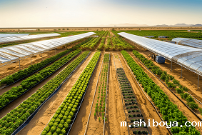 什么是现代农业产业园