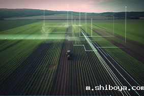 高标准农田建设成本及其重要性