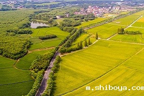 为什么说现代农业产业园是趋势？