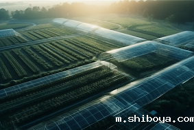 现代农业产业园投入成本要多少？