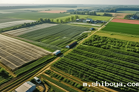 数字农场特点是什么