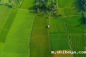 建设高标准农田的标准是什么？