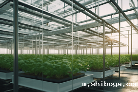 智能温室大棚系统应用意义