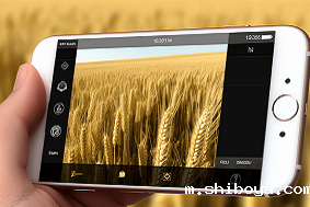 智能虫情测报系统优势介绍
