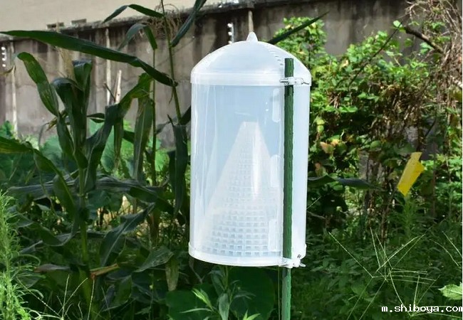 新型飞蛾诱捕器.jpg