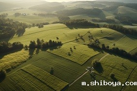 数字农场建设需要多少成本