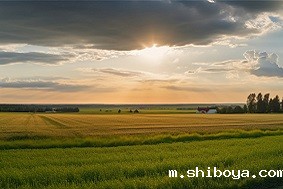 建设高标准农田有哪些好处