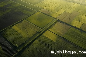 高标准农田特征介绍