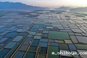 水产养殖管理系统特点介绍