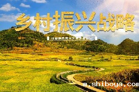 吉林：智慧农业为乡村振兴赋能增效