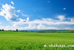 高标准农田的优势有哪些