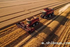 高标准农田建设有哪些困难