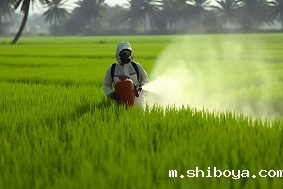 水稻病虫害防治技术