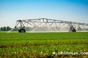 高标准农田跟普通农田有什么不一样