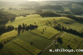 什么是农林四情监测系统