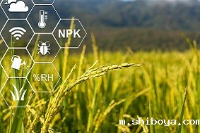 频振式杀虫灯介绍